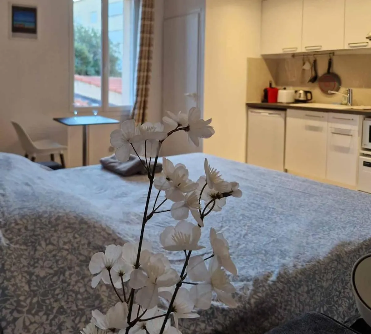 Renovated Studio 25M2 Old Town Antibes Apartment